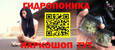 шишки Гагарин