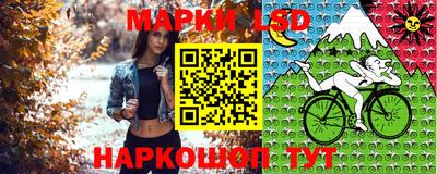 шишки Гагарин
