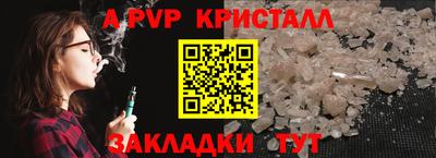 шишки Гагарин