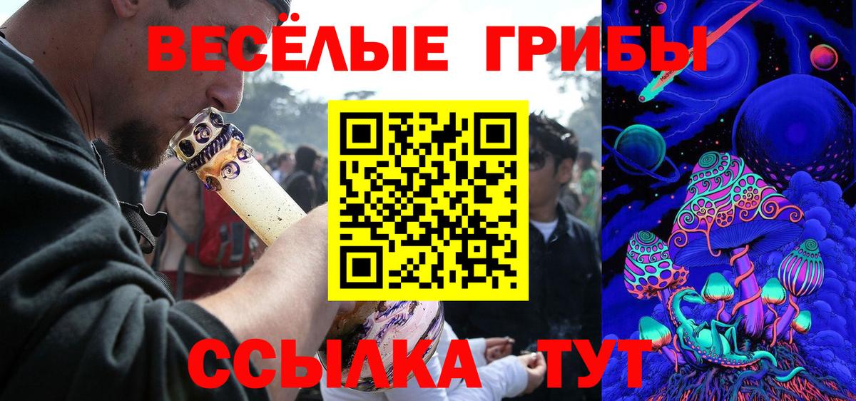 Галлюциногенные грибы Psilocybe Лабинск