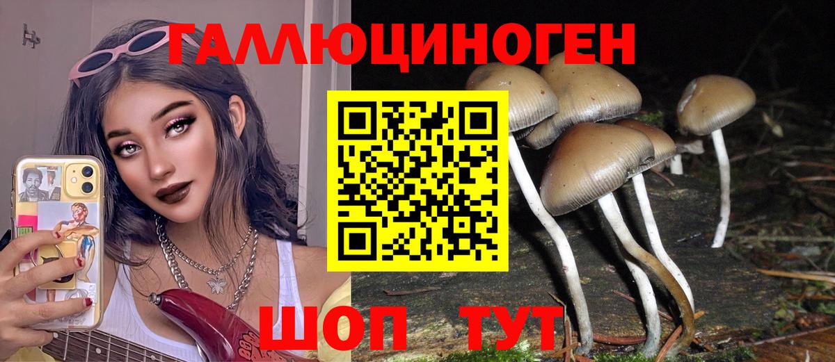 Лабинск  Галлюциногенные грибы Psilocybe  Вход с VPN  Галлюциногенные грибы GOLDEN TEACHER 